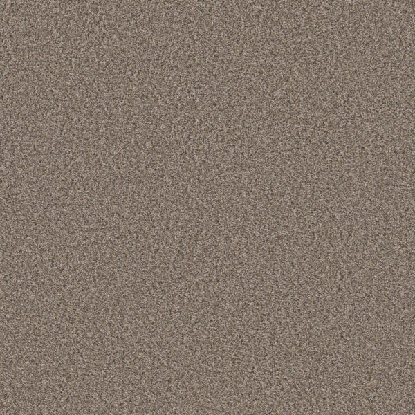 Shaw Floors Carpet Always Right I Goose Feather 00120_5E664