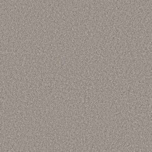 Shaw Floors Carpet Always Right I Sterling 00500_5E664