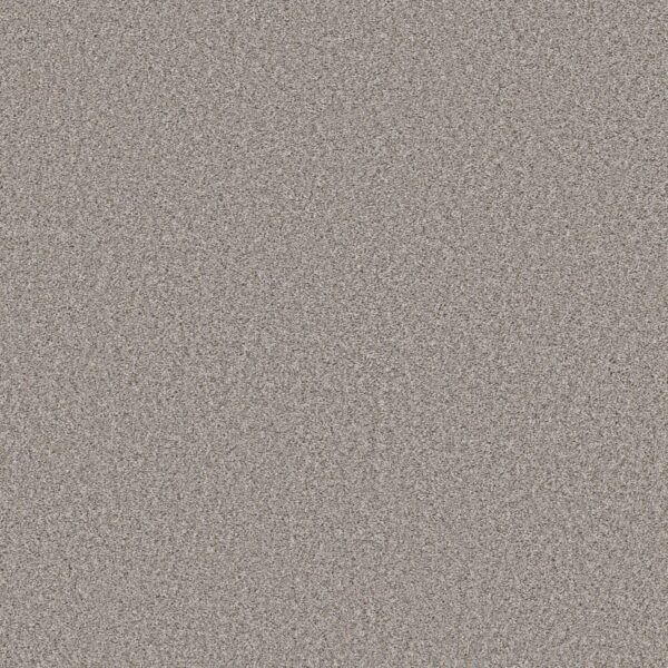 Shaw Floors Carpet Always Right I Sterling 00500_5E664