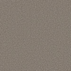 Shaw Floors Carpet Always Right I Graphite 00510_5E664