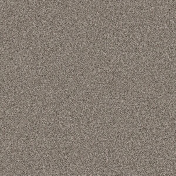Shaw Floors Carpet Always Right I Graphite 00510_5E664