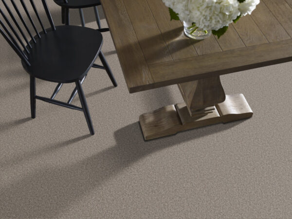 Shaw Floors Carpet Always Right I Graphite 00510_5E664 - Image 2
