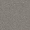Shaw Floors Carpet Always Right I Nantucket 00520_5E664