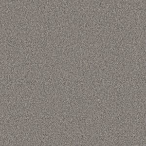 Shaw Floors Carpet Always Right I Nantucket 00520_5E664