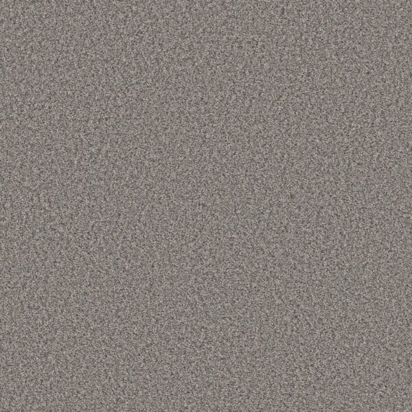 Shaw Floors Carpet Always Right I Nantucket 00520_5E664