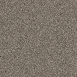 Shaw Floors Carpet Always Right I Jamestown 00521_5E664