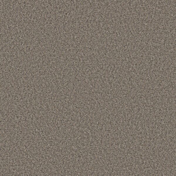 Shaw Floors Carpet Always Right I Jamestown 00521_5E664
