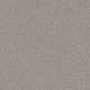 Shaw Floors Carpet Always Right Ii Sterling 00500_5E665