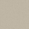 Shaw Floors Carpet Well Made Creamy 00101_5E667