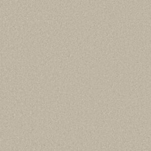 Shaw Floors Carpet Well Made Creamy 00101_5E667