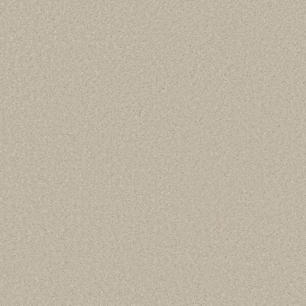 Shaw Floors Carpet Well Made Creamy 00101_5E667