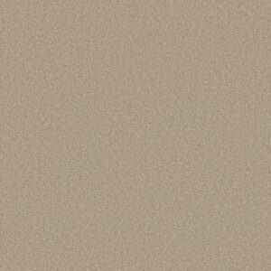 Shaw Floors Carpet Well Made Agate 00102_5E667