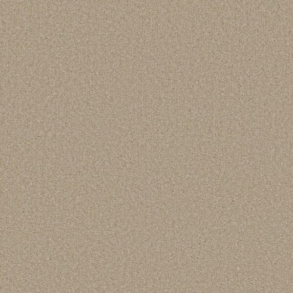 Shaw Floors Carpet Well Made Agate 00102_5E667