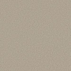 Shaw Floors Carpet Well Made Ecru 00103_5E667