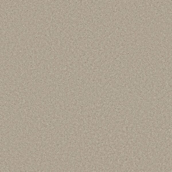 Shaw Floors Carpet Well Made Ecru 00103_5E667