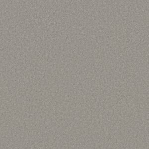 Shaw Floors Carpet Well Made Sheer Silver 00500_5E667