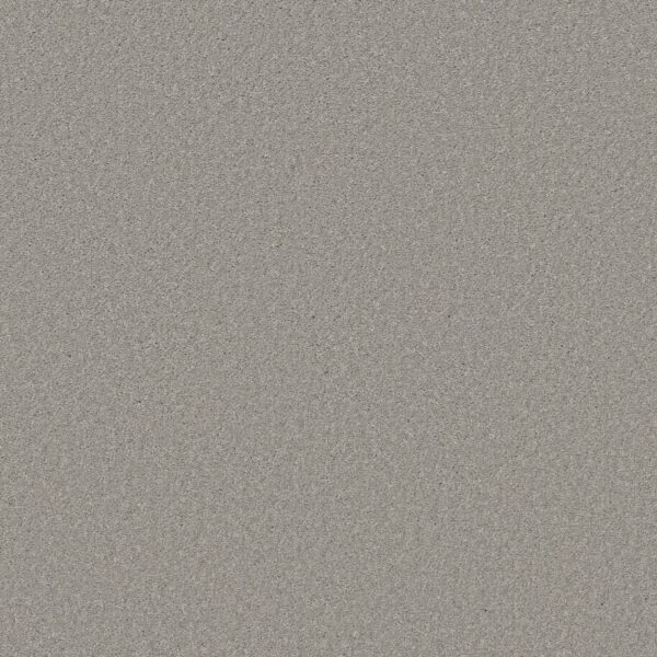Shaw Floors Carpet Well Made Sheer Silver 00500_5E667