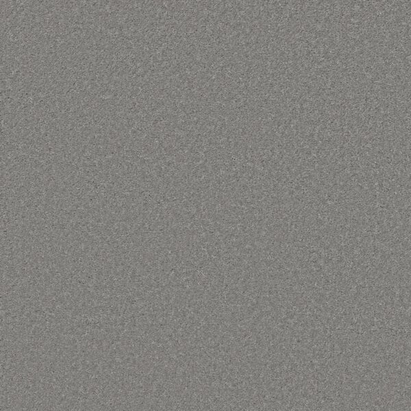 Shaw Floors Carpet Well Made Nickel 00502_5E667