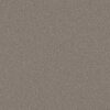 Shaw Floors Carpet Well Made Mocha Frost 00702_5E667