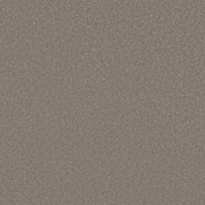 Shaw Floors Carpet Well Made Mocha Frost 00702_5E667