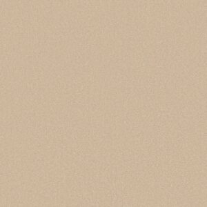 Shaw Floors Carpet Awaken Spirit I Sunlight 00100_5E690