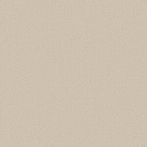 Shaw Floors Carpet Awaken Spirit I Cream 00101_5E690