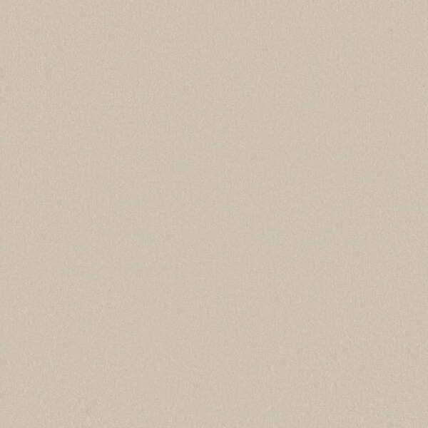 Shaw Floors Carpet Awaken Spirit I Cream 00101_5E690