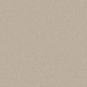 Shaw Floors Carpet Awaken Spirit I Cloud 00102_5E690