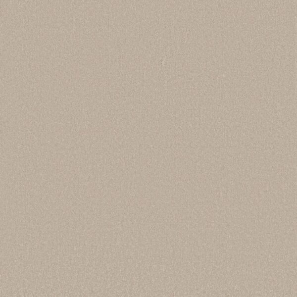 Shaw Floors Carpet Awaken Spirit I Cloud 00102_5E690