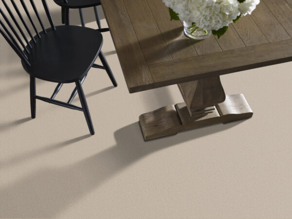 Shaw Floors Carpet Awaken Spirit I Cloud 00102_5E690 - Image 2