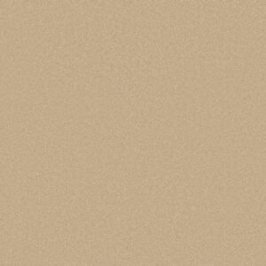 Shaw Floors Carpet Awaken Spirit I Sugar Cookie 00105_5E690