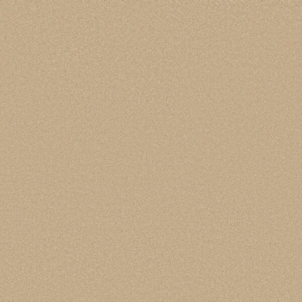 Shaw Floors Carpet Awaken Spirit I Sugar Cookie 00105_5E690