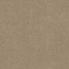 Shaw Floors Carpet Awaken Spirit I Muffin 00106_5E690