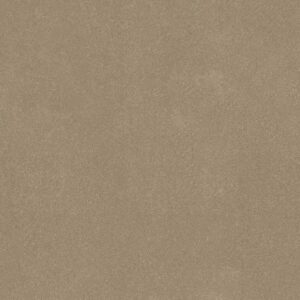 Shaw Floors Carpet Awaken Spirit I Muffin 00106_5E690