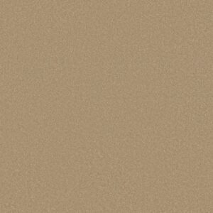 Shaw Floors Carpet Awaken Spirit I Classic Buff 00108_5E690