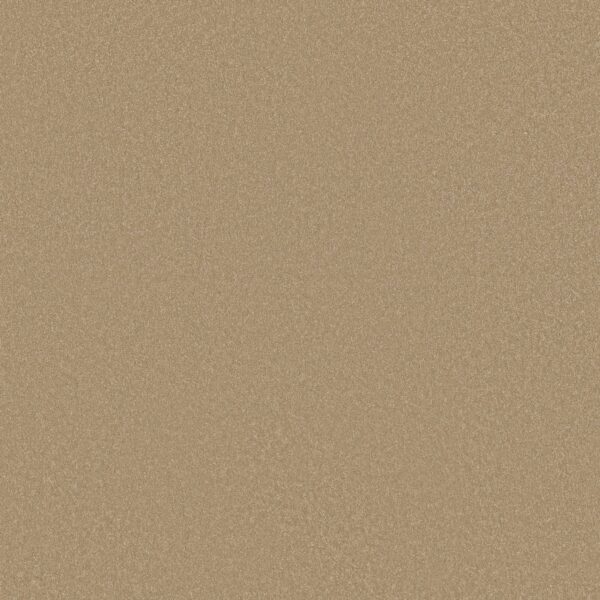 Shaw Floors Carpet Awaken Spirit I Classic Buff 00108_5E690