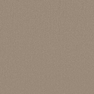 Shaw Floors Carpet Awaken Spirit I Fresco 00109_5E690