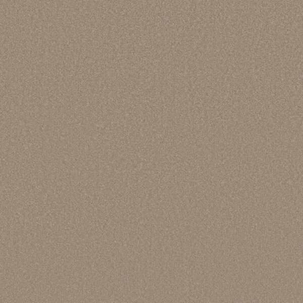 Shaw Floors Carpet Awaken Spirit I Fresco 00109_5E690