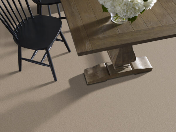 Shaw Floors Carpet Awaken Spirit I Fresco 00109_5E690 - Image 2