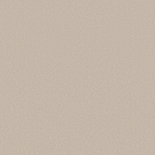 Shaw Floors Carpet Awaken Spirit I Spun Wool 00112_5E690