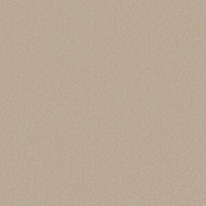 Shaw Floors Carpet Awaken Spirit I Windfresh 00113_5E690