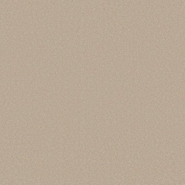 Shaw Floors Carpet Awaken Spirit I Windfresh 00113_5E690