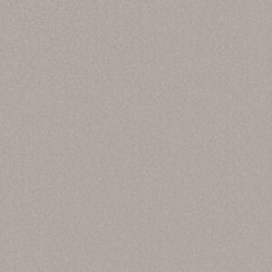 Shaw Floors Carpet Awaken Spirit I Ice Cube 00114_5E690