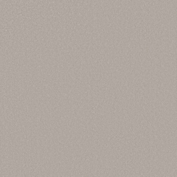 Shaw Floors Carpet Awaken Spirit I Ice Cube 00114_5E690