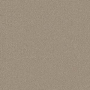 Shaw Floors Carpet Awaken Spirit I Neutral Ground 00115_5E690