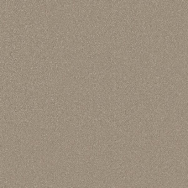 Shaw Floors Carpet Awaken Spirit I Neutral Ground 00115_5E690