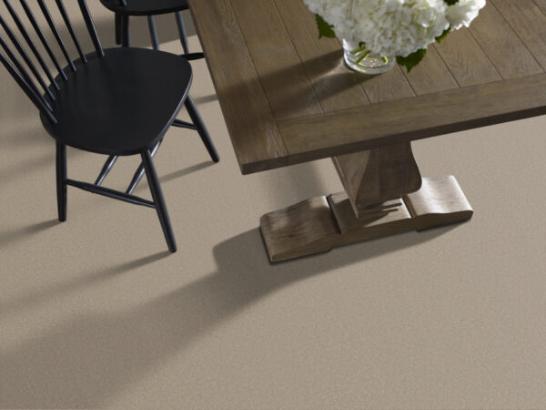 Shaw Floors Carpet Awaken Spirit I Neutral Ground 00115_5E690 - Image 2