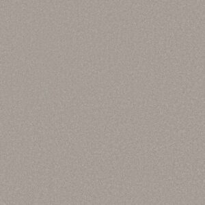 Shaw Floors Carpet Awaken Spirit I Hazy Sky 00116_5E690