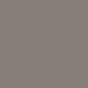 Shaw Floors Carpet Awaken Spirit I Boulder Taupe 00117_5E690