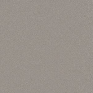 Shaw Floors Carpet Awaken Spirit I Subtle Touch 00118_5E690